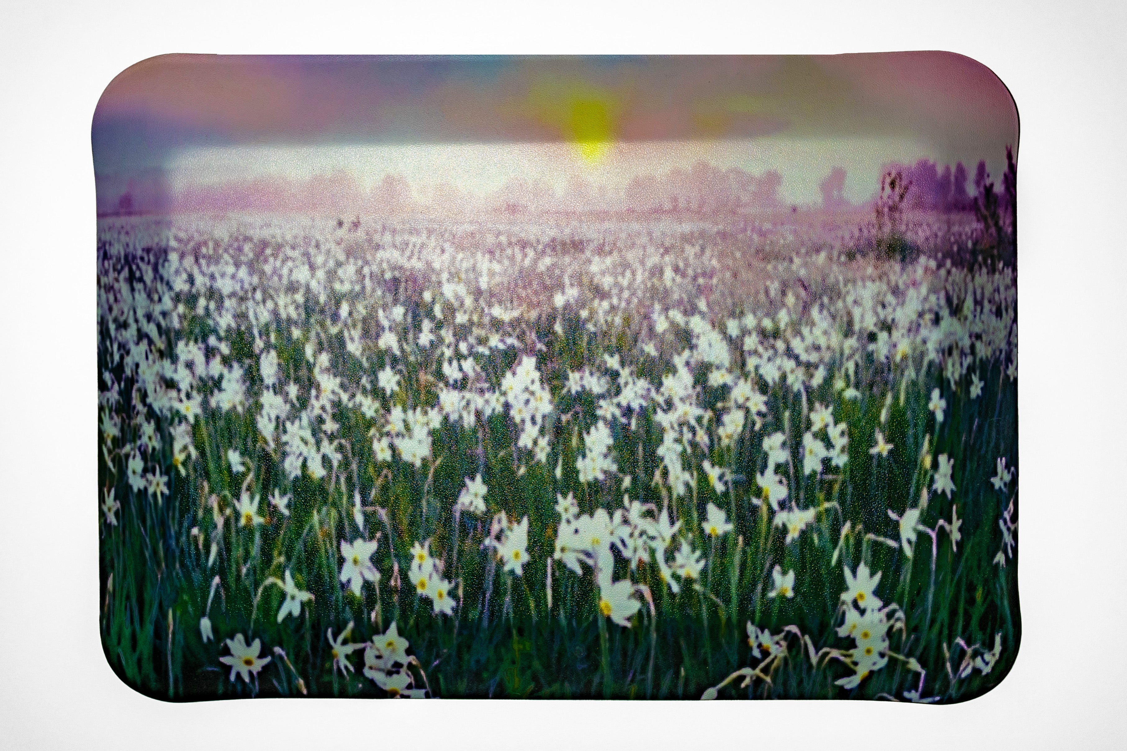 "Consider the Lilies"